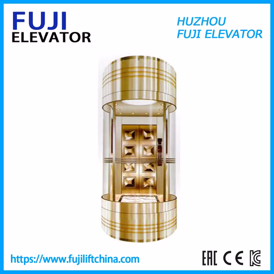 Производитель фабрики FUJI Панорамный стеклянный лифт с смотровым лифтом Домашний лифт Вилла Пассажирский лифт Пассажирский лифт Китай Лифт